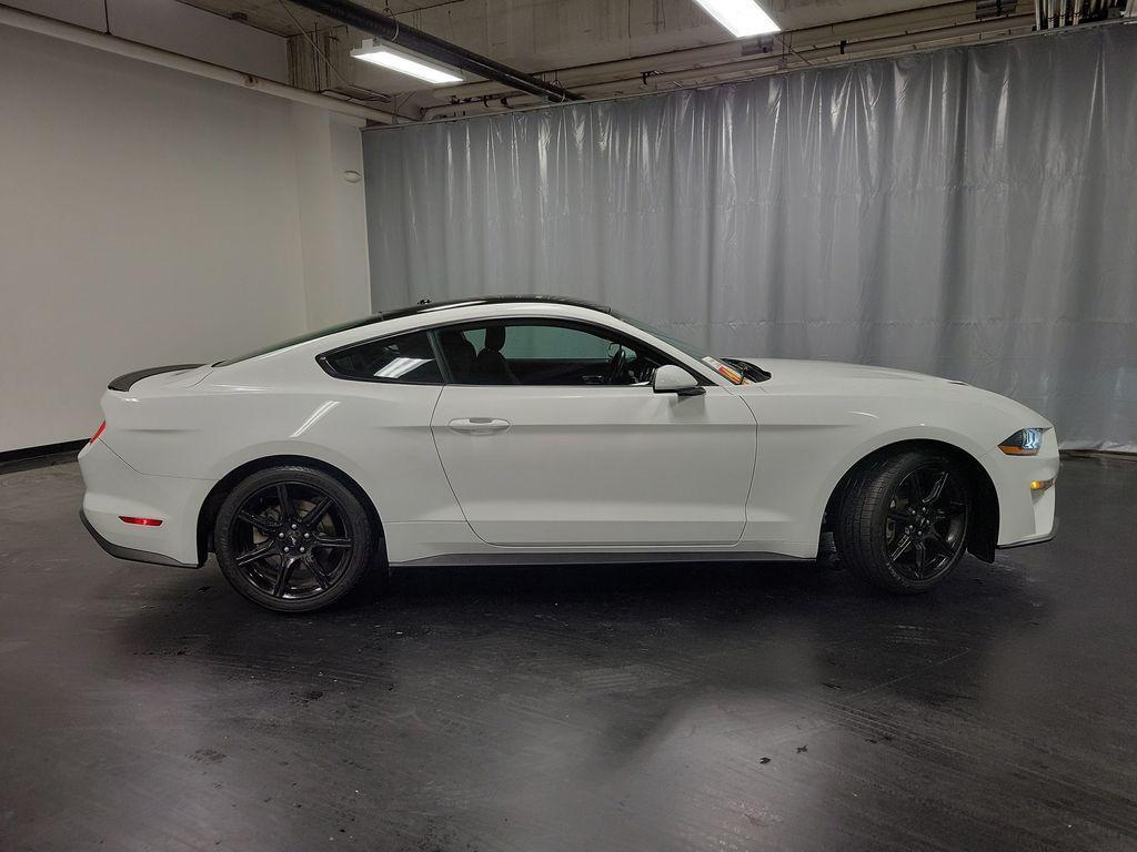 used 2019 Ford Mustang car, priced at $19,995