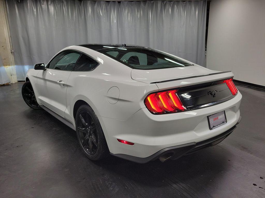 used 2019 Ford Mustang car, priced at $19,995