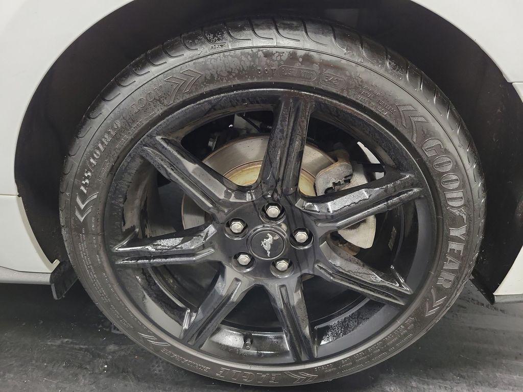 used 2019 Ford Mustang car, priced at $19,995