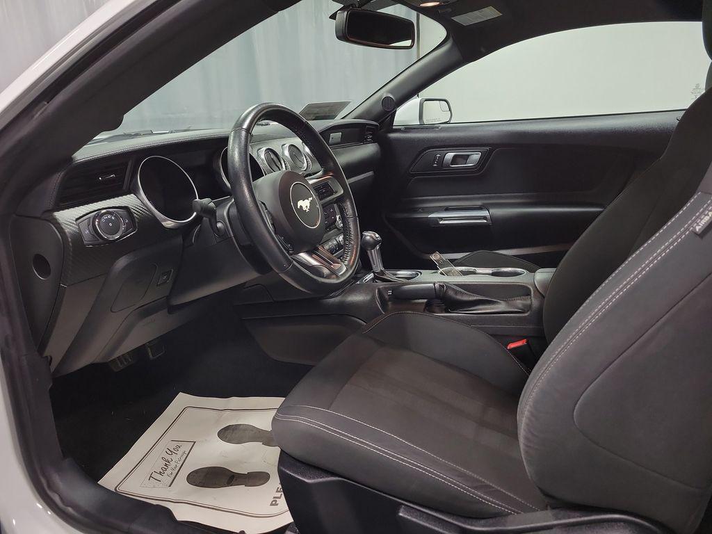 used 2019 Ford Mustang car, priced at $19,995