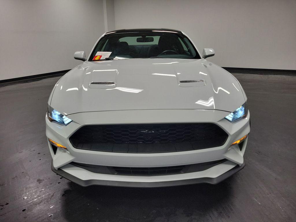 used 2019 Ford Mustang car, priced at $19,995