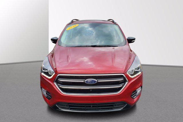 used 2019 Ford Escape car, priced at $17,998