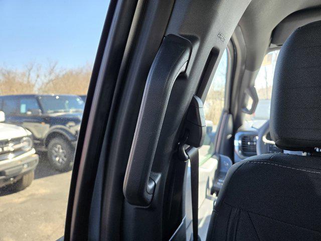 new 2025 Ford F-150 car, priced at $55,095