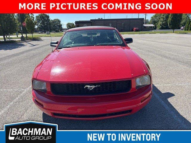 used 2005 Ford Mustang car