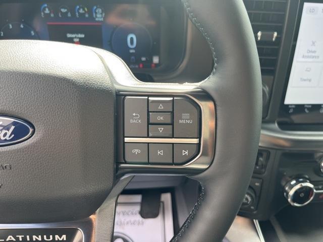 new 2025 Ford F-150 car