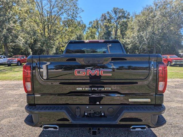 new 2024 GMC Sierra 1500 car, priced at $59,732