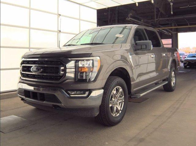 used 2023 Ford F-150 car, priced at $36,984