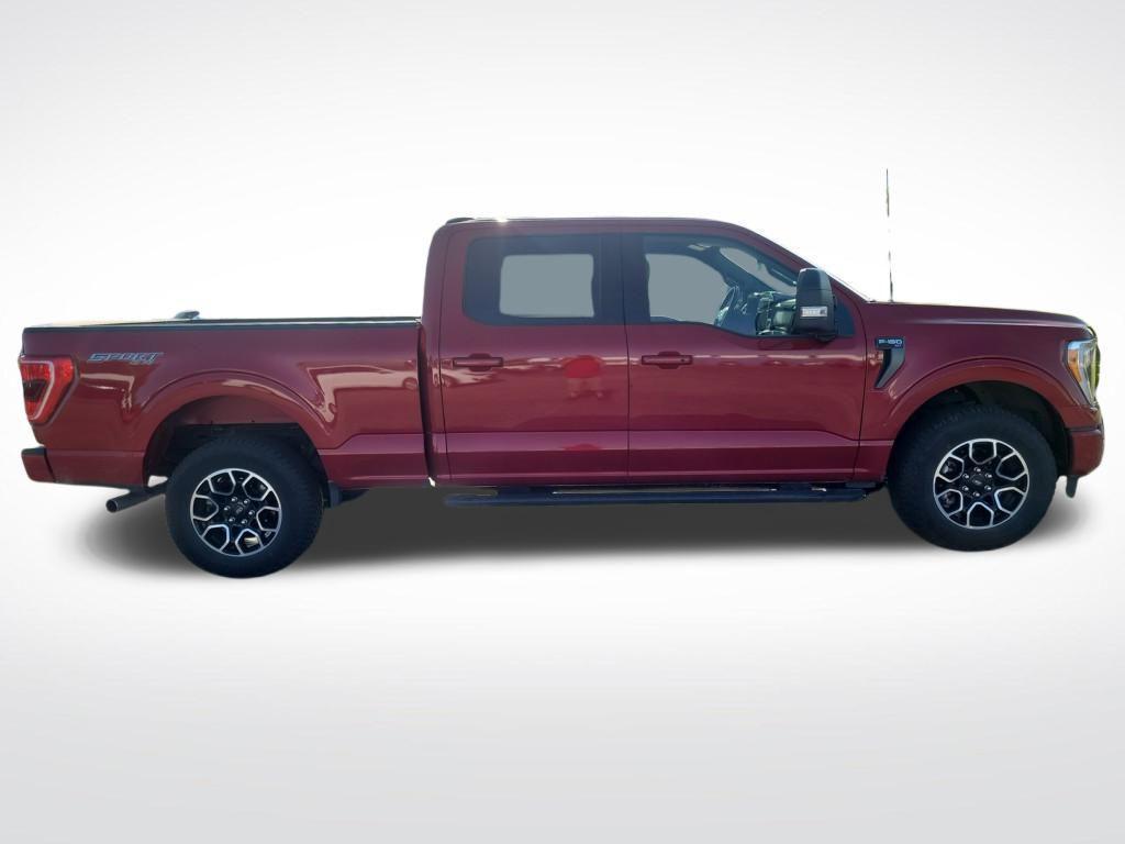 used 2022 Ford F-150 car, priced at $43,500