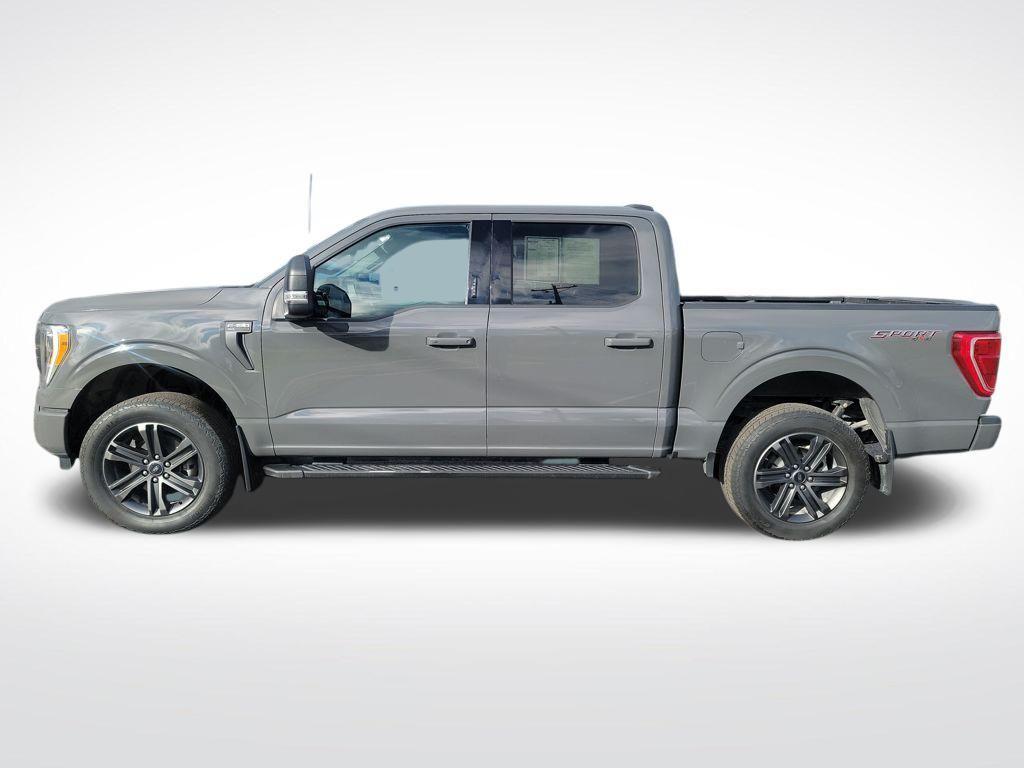 used 2021 Ford F-150 car, priced at $31,000