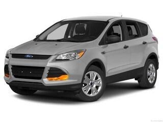 used 2014 Ford Escape car