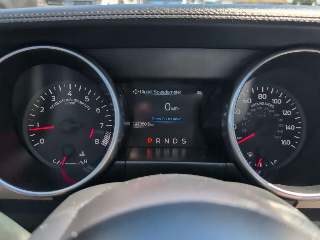 used 2019 Ford Mustang car, priced at $34,292
