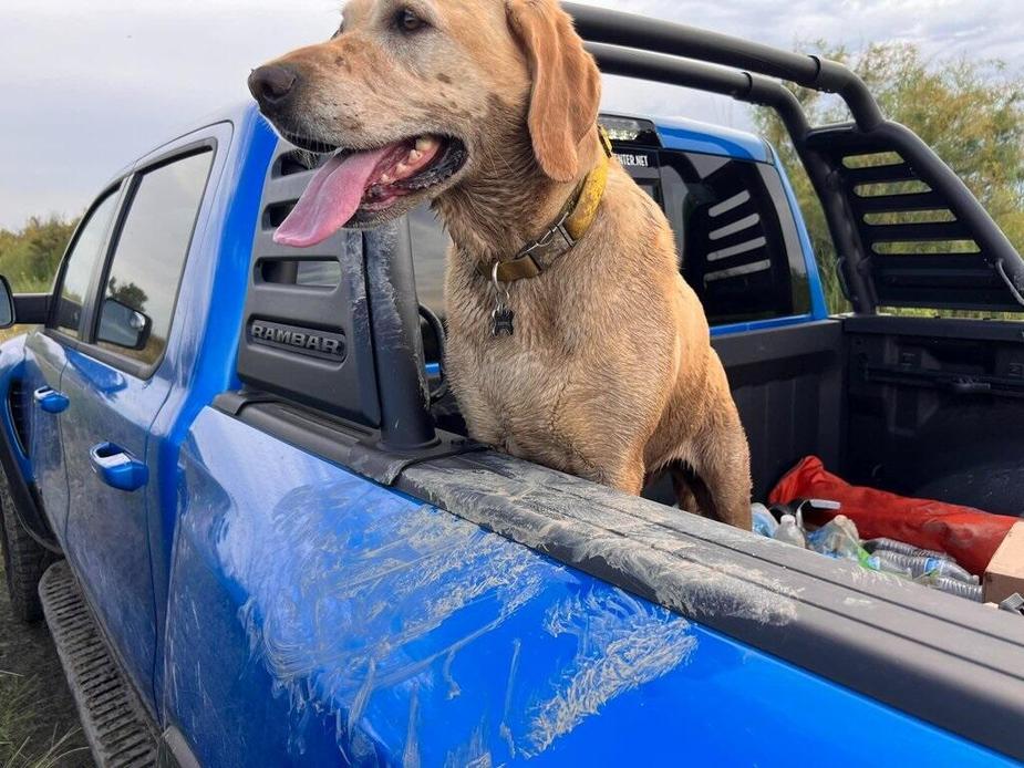 used 2019 Ram 1500 Classic car, priced at $24,614