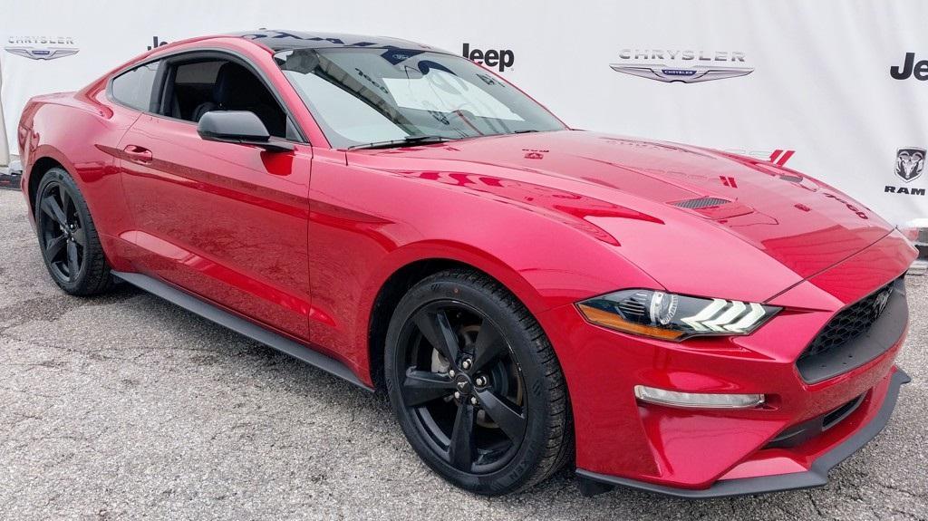 used 2023 Ford Mustang car, priced at $24,798