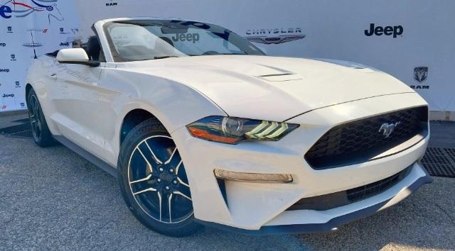 used 2022 Ford Mustang car, priced at $21,996