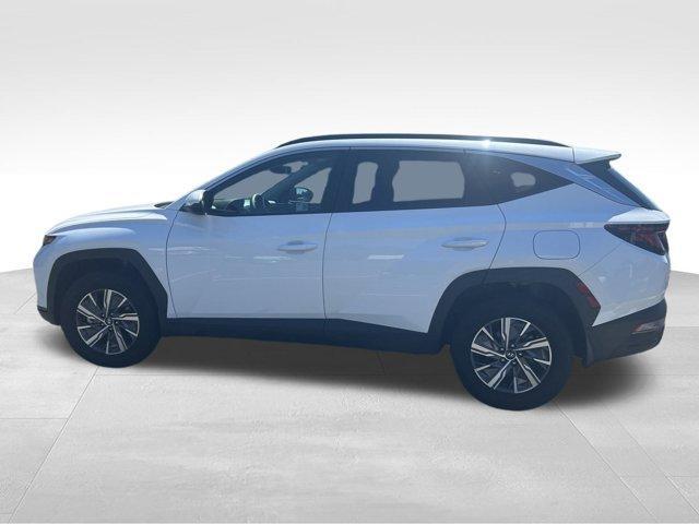 used 2024 Hyundai TUCSON Hybrid car, priced at $26,671