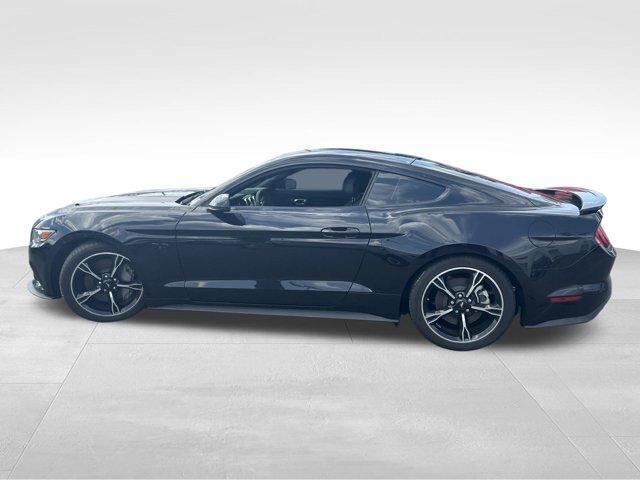 used 2017 Ford Mustang car