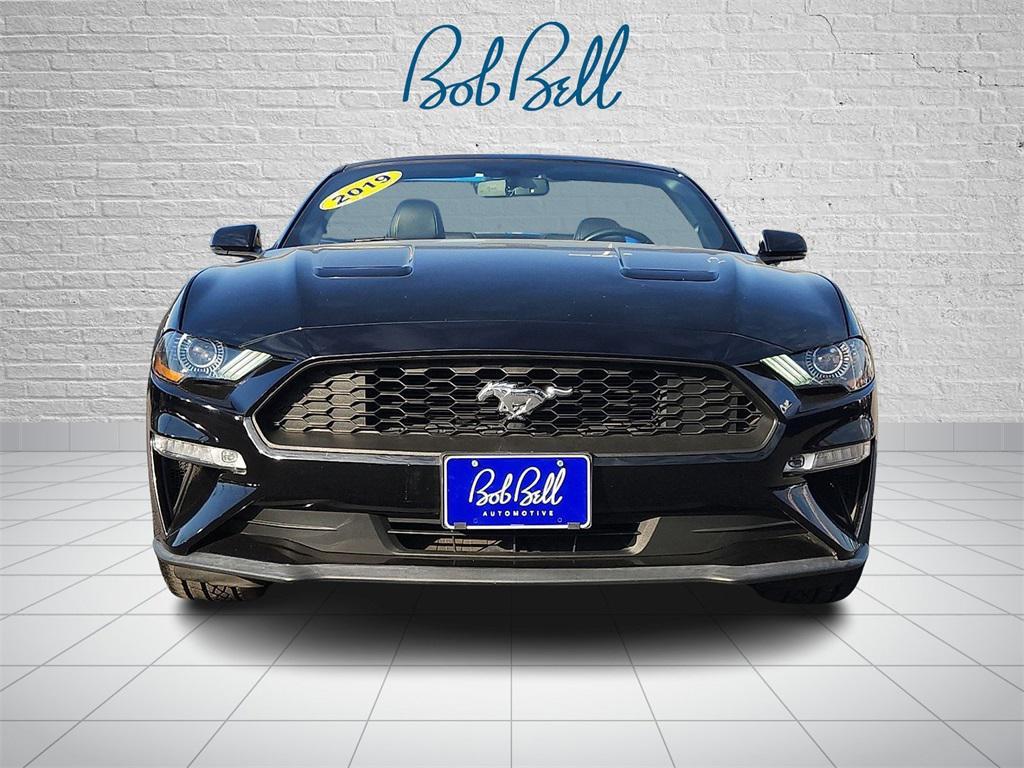 used 2019 Ford Mustang car, priced at $21,900