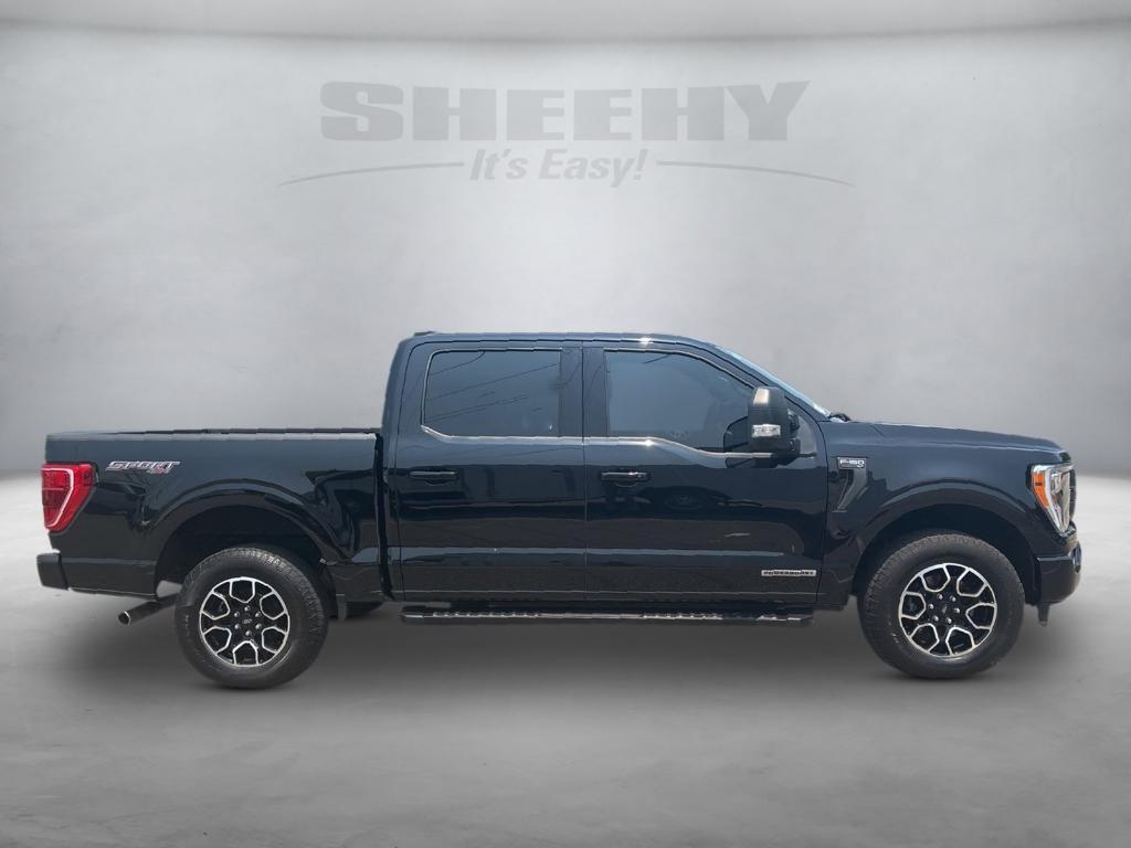 used 2023 Ford F-150 car, priced at $42,000