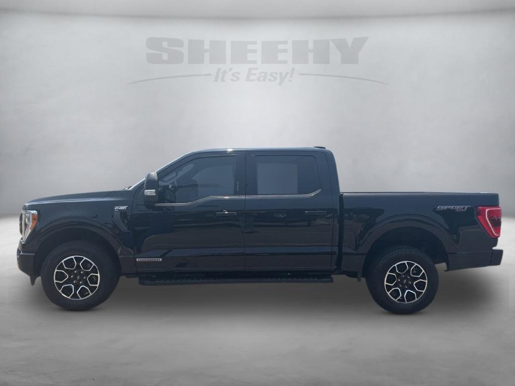 used 2023 Ford F-150 car, priced at $42,000