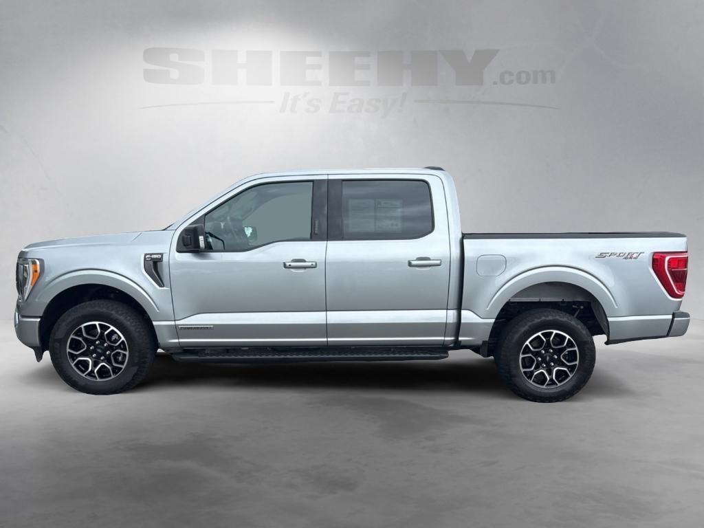used 2023 Ford F-150 car, priced at $41,625