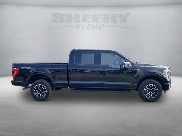 used 2022 Ford F-150 car, priced at $39,500