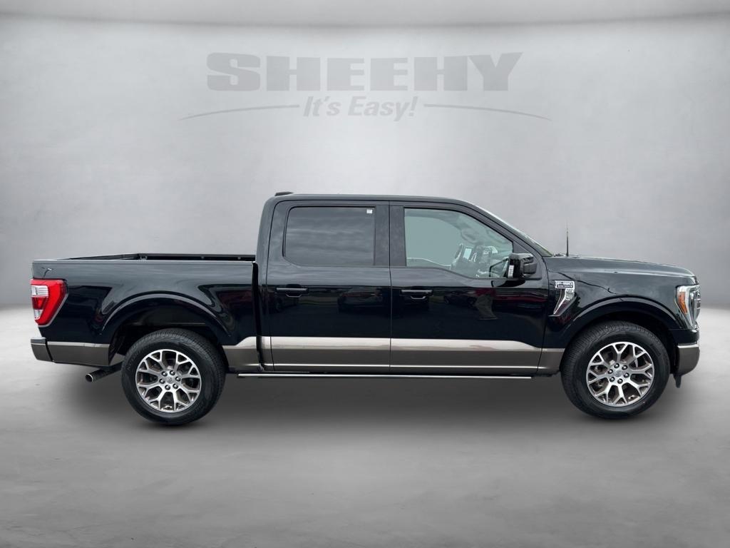 used 2023 Ford F-150 car