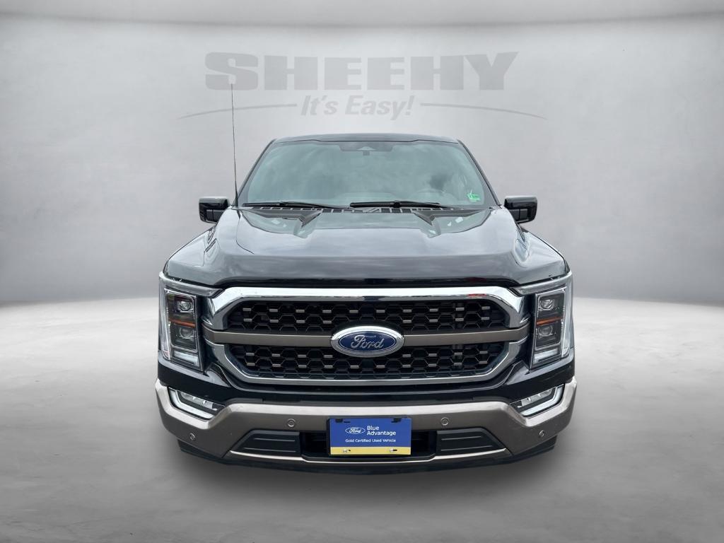 used 2023 Ford F-150 car