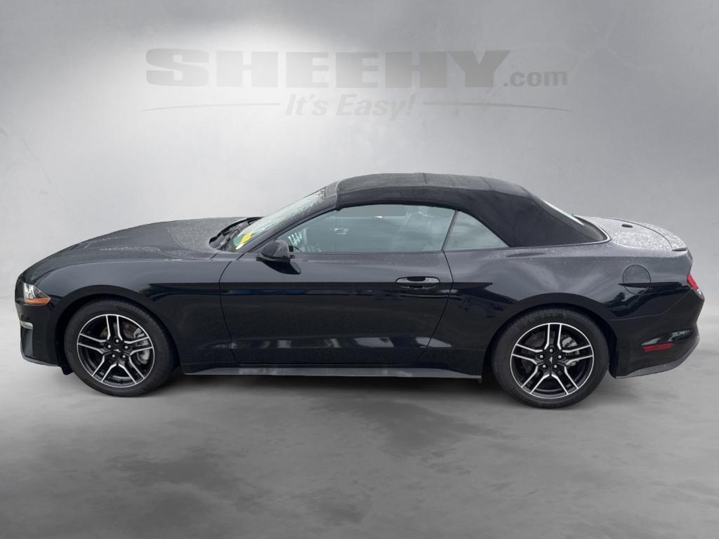used 2023 Ford Mustang car, priced at $26,888