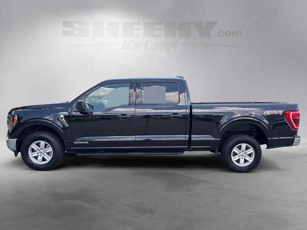 used 2023 Ford F-150 car, priced at $32,700