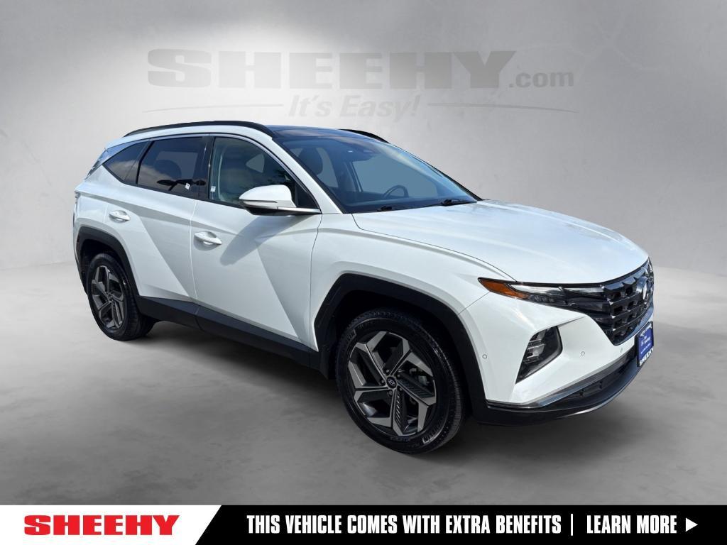 used 2023 Hyundai Tucson car, priced at $27,900