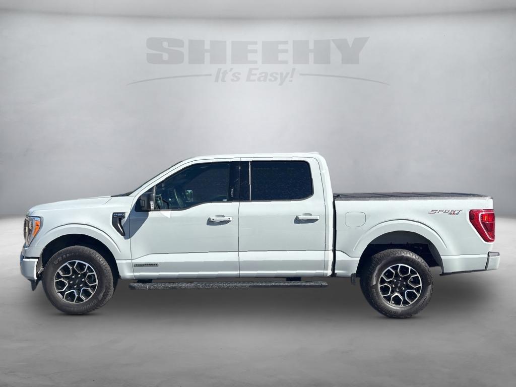 used 2023 Ford F-150 car, priced at $44,740