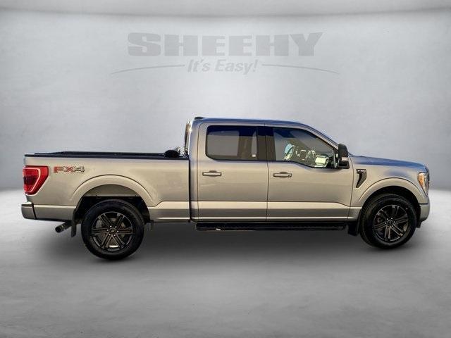 used 2021 Ford F-150 car, priced at $36,500