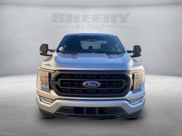 used 2021 Ford F-150 car, priced at $36,500