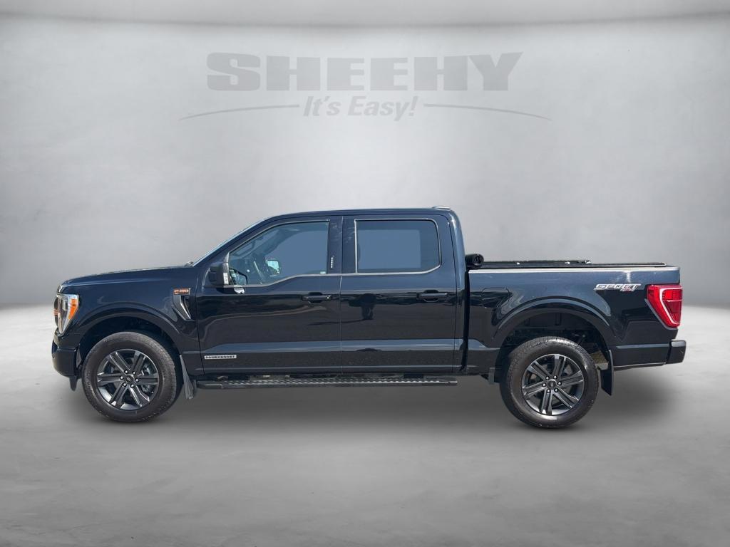 used 2023 Ford F-150 car, priced at $44,699