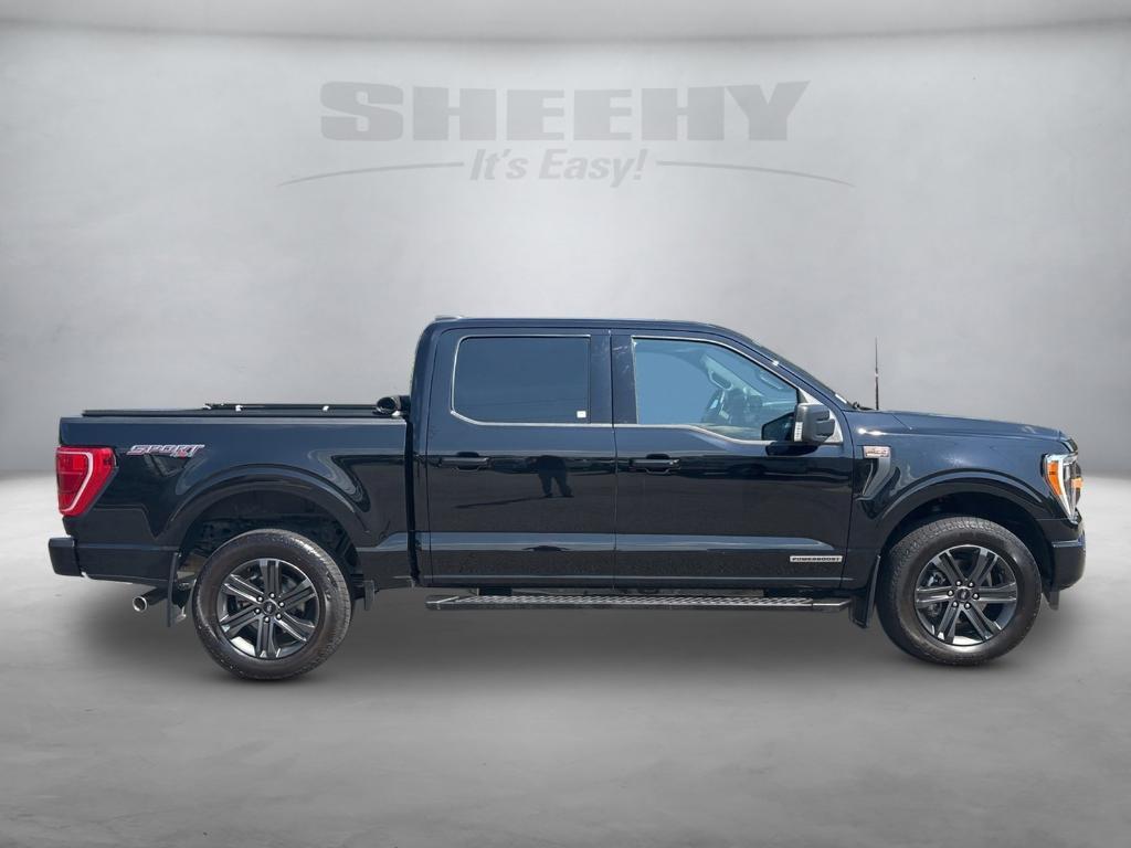 used 2023 Ford F-150 car, priced at $44,699