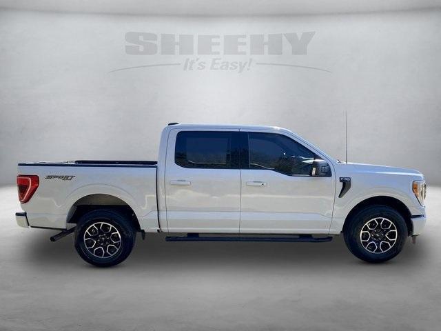 used 2021 Ford F-150 car, priced at $35,600