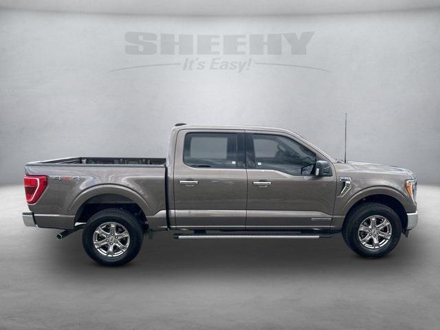 used 2023 Ford F-150 car, priced at $48,197
