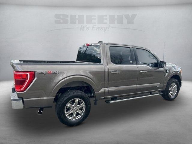 used 2023 Ford F-150 car, priced at $48,197