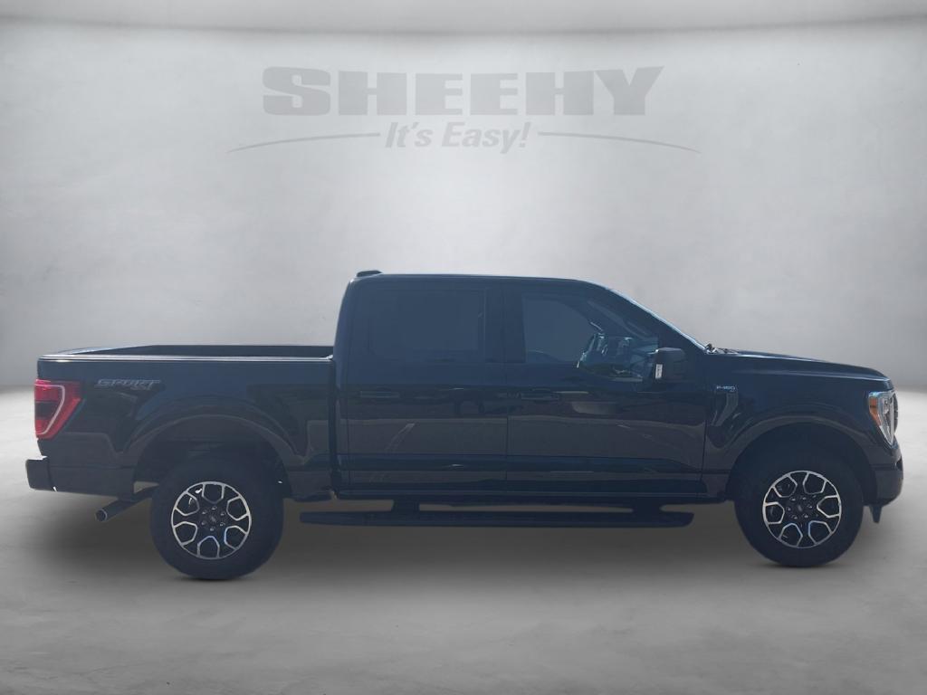 used 2023 Ford F-150 car, priced at $42,113