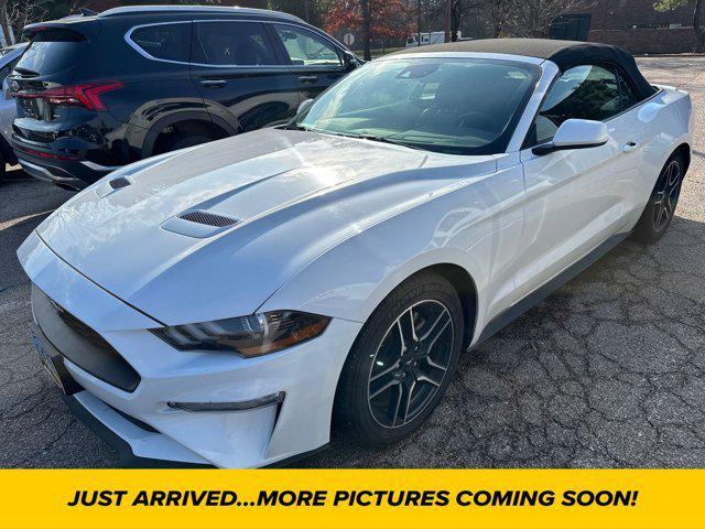 used 2022 Ford Mustang car, priced at $22,067