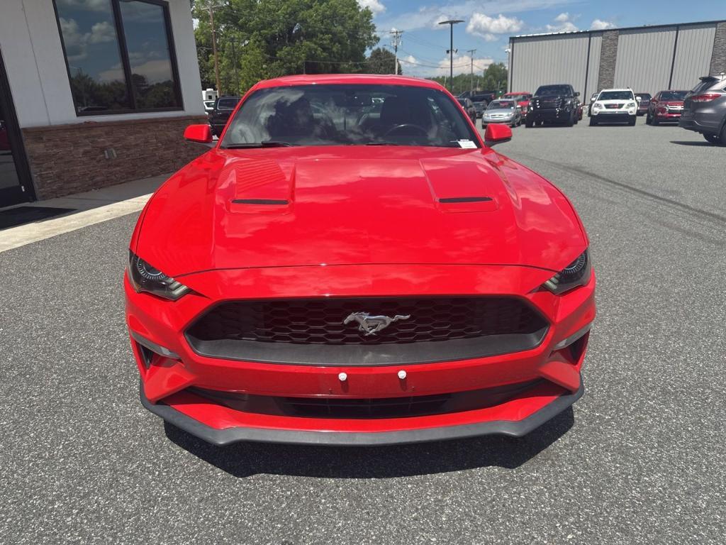 used 2019 Ford Mustang car