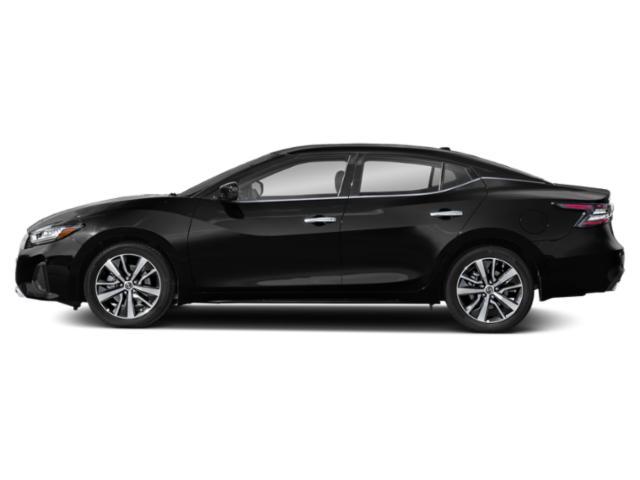 used 2019 Nissan Maxima car, priced at $18,000