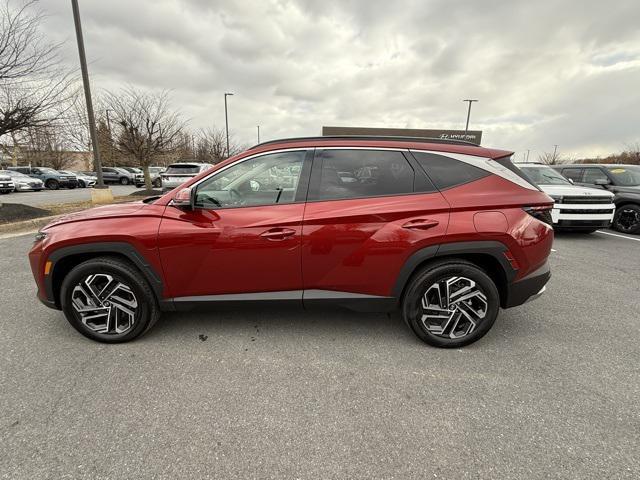 used 2025 Hyundai TUCSON Hybrid car, priced at $37,929