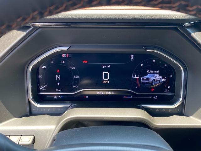 new 2025 GMC Sierra 1500 car, priced at $67,815
