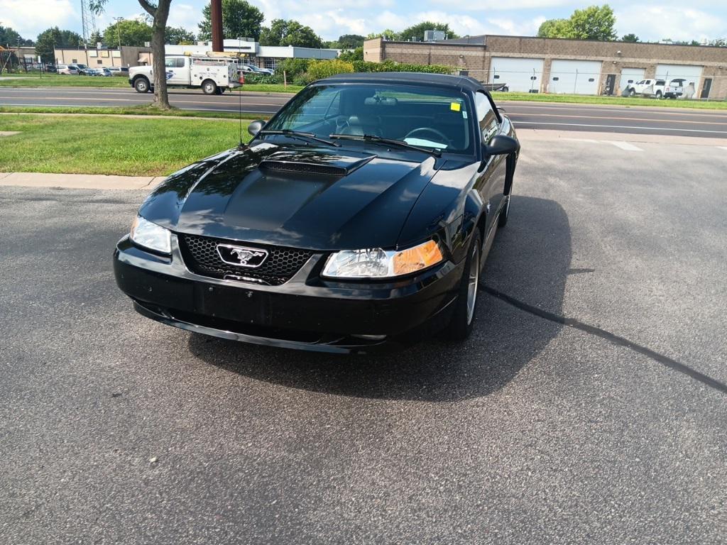 used 1999 Ford Mustang car, priced at $12,000