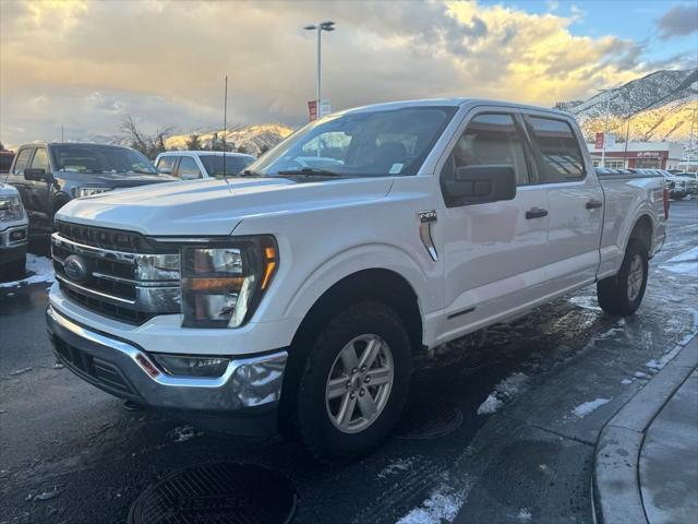 used 2023 Ford F-150 car, priced at $41,995