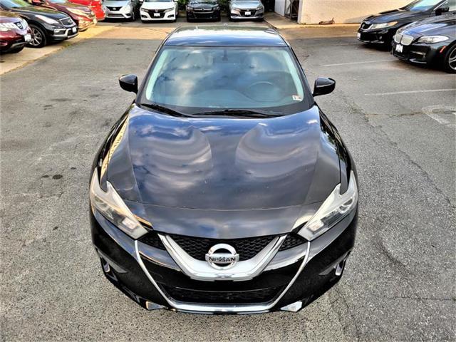 used 2016 Nissan Maxima car, priced at $11,995