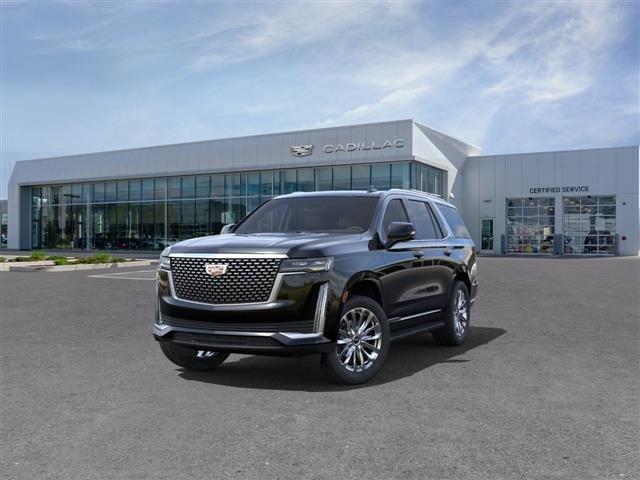 used 2024 Cadillac Escalade car, priced at $90,836