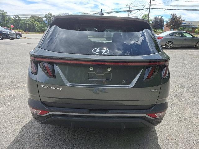 used 2023 Hyundai Tucson car