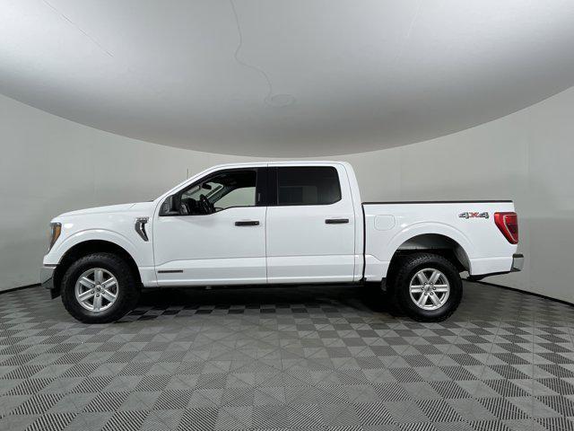 used 2023 Ford F-150 car, priced at $39,227